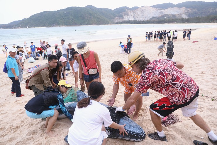 2月23日，志愿者在后海灣南部海灘區(qū)域撿拾垃圾-11