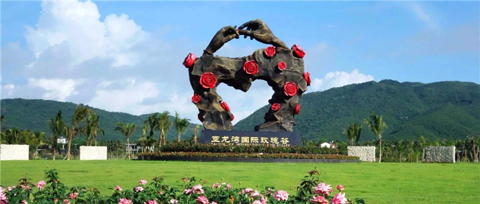 圖片18