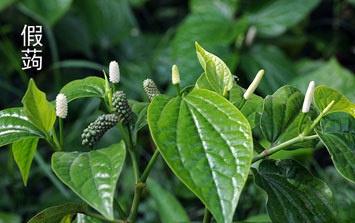 uwMauaMJ_Es5p