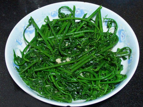 NENEKbue_O824