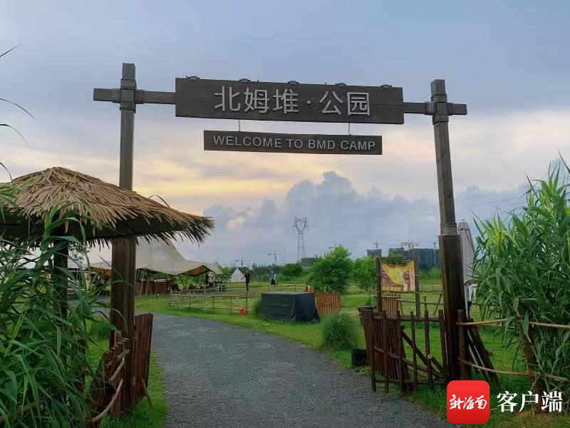 插入圖片