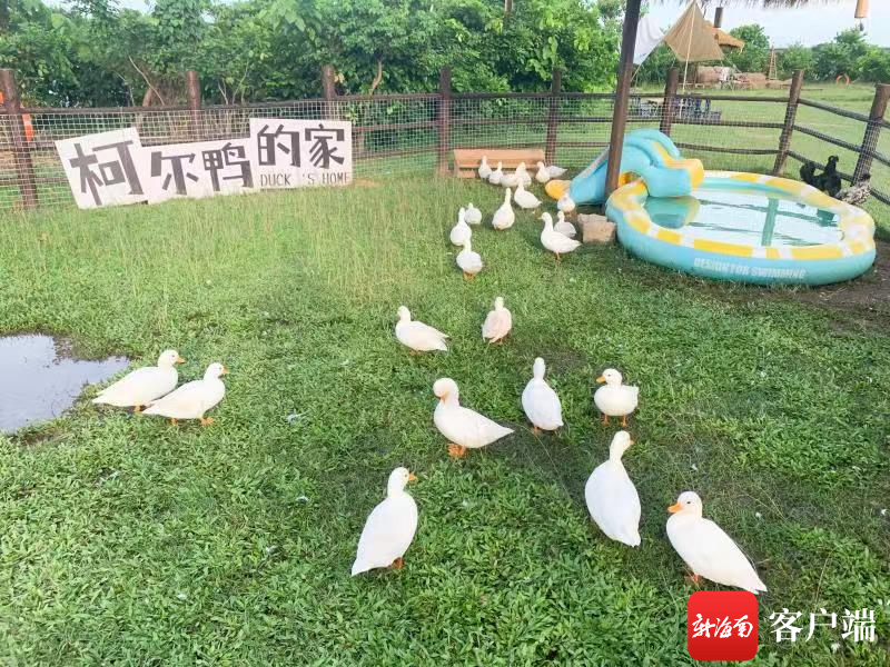 插入圖片