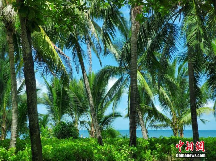 資料圖：天涯區(qū)三亞灣一帶風(fēng)光旖旎。 王曉斌 攝