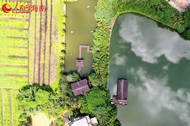 澄邁縣金江鎮(zhèn)塘口村水韻田園休閑農(nóng)莊鄉(xiāng)村旅游點(diǎn)。 人民網(wǎng) 孟凡盛攝