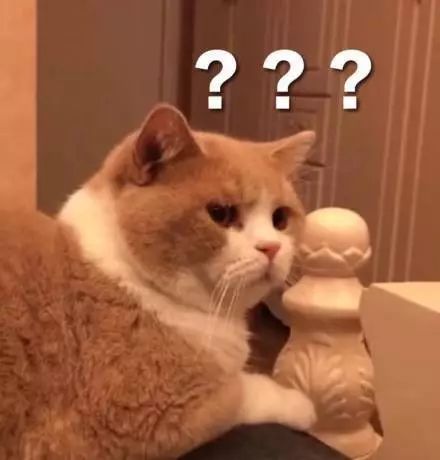 2fdd4a6edbf539d0f399fd21d46a7dee.jpeg